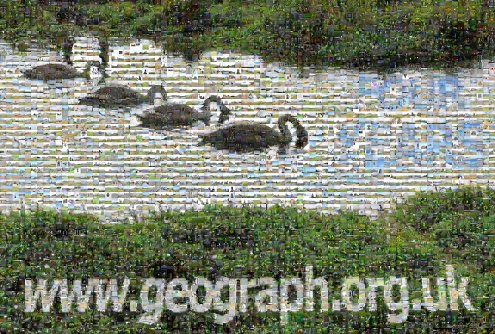Geograph Four Years Old - click for huge mosaic